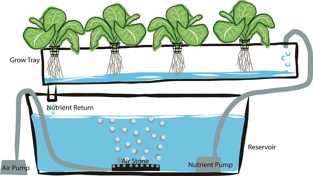 Does Growing Stuff Hydroponically Use Less Water?